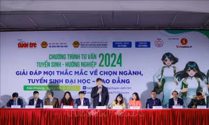 Cập nhật thông tin tuyển sinh mới nhất, tư vấn lựa chọn ngành nghề phù hợp