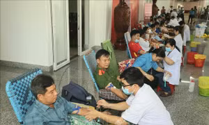 Giọt hồng trên đất Hậu Giang: Tiếp nhận được 456 đơn vị máu 