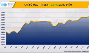 Chỉ số MXV-Index quay lại vùng đỉnh trong vòng 9 tháng
