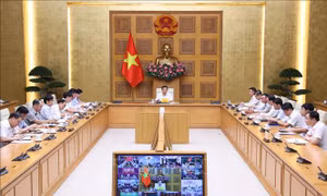 Dự án khắc phục xong sai phạm sẽ được đưa vào kế hoạch thực hiện Quy hoạch điện VIII