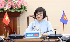 ASEAN 20: Lồng ghép giới trong chính sách lao động để thúc đẩy việc làm bền vững