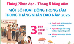 Một số hoạt động trọng tâm trong Tháng Nhân đạo năm 2026