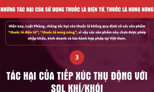 Ảnh hưởng của việc tiếp xúc thụ động với sol khí/khói