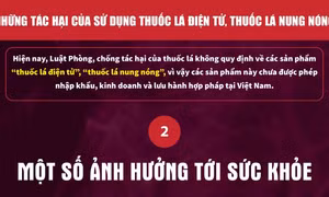 Một số ảnh hưởng tới sức khỏe của thuốc lá điện tử, thuốc lá nung nóng