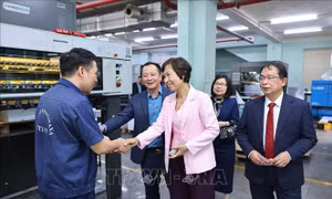 Lãnh đạo TTXVN chúc Tết Công ty TNHH MTV In và Thương mại 