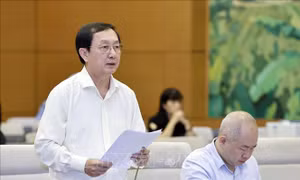 Các doanh nghiệp cần được tham gia vào quá trình xây dựng các tiêu chuẩn, quy chuẩn