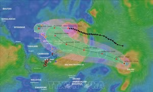 Bão số 9 vẫn duy trì tốc độ và sức gió, cách Móng Cái (Quảng Ninh) khoảng 570km