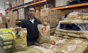Gạo Việt Nam thêm cơ hội tiếp cận thị trường Anh