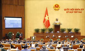 Thông qua Nghị quyết phân bổ ngân sách trung ương năm 2022