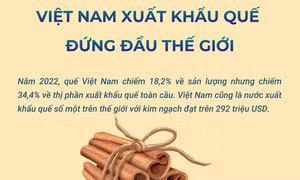 Việt Nam xuất khẩu quế đứng đầu thế giới