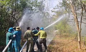 Bảo vệ Khu Bảo tồn loài - sinh cảnh Vườn chim Bạc Liêu trước nguy cơ cháy