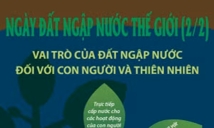 Vai trò của đất ngập nước đối với con người và thiên nhiên