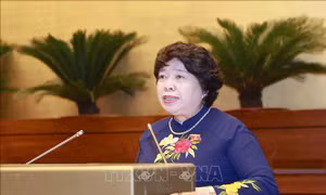 Đề nghị Hội đồng Y khoa Quốc gia do Thủ tướng Chính phủ thành lập