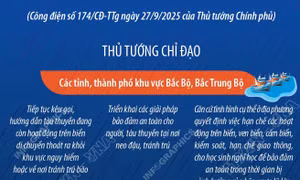 Quyết liệt phòng, chống Bão số 10 (bão BUALOI): Thành lập Ban chỉ đạo tiền phương tại các tỉnh có tâm bão đi qua để ứng phó bão, mưa lũ
