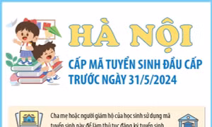Hà Nội: Cấp mã tuyển sinh đầu cấp trước ngày 31/5/2024