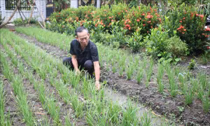 Dành nguồn lực đầu tư, phát triển kinh tế vùng đồng bào dân tộc Khmer