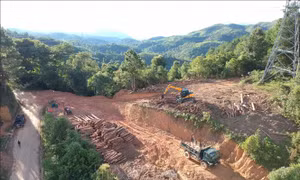 Vụ phá rừng trên đèo Pha Đin: Tạm đình chỉ Hạt trưởng hạt Kiểm lâm huyện Tuần Giáo 