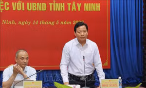Pháp luật về bưu chính chưa theo kịp tốc độ phát triển kinh tế số