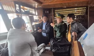 Hai tàu cá ở Quảng Trị bị lập hồ sơ xử phạt vì mất tín hiệu giám sát hành trình