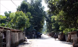 Cuộc sống mới của người dân sau 20 năm 'nhường đất' cho Dự án Thủy điện Tuyên Quang