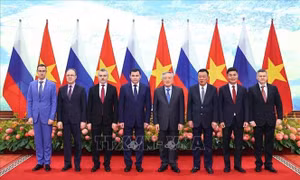 Phó Thủ tướng Thường trực tiếp Đoàn đại biểu cấp cao Cơ quan Công vụ, Nhân sự và Chống tham nhũng Liên bang Nga