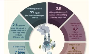 99% dân số trên thế giới đang hít thở bầu không khí ô nhiễm