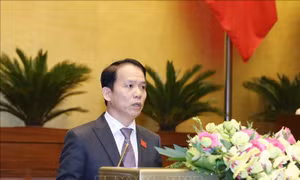 Hoàn thiện pháp luật về tạm giữ, tịch thu phương tiện giao thông đường bộ