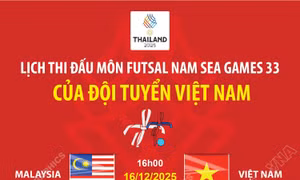 Lịch thi đấu futsal nam SEA Games 33 của đội tuyển Việt Nam