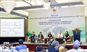 Phát triển ngành Halal Việt Nam thông qua hợp tác quốc tế