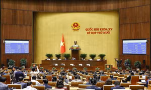 Thông qua 4 Luật trong lĩnh vực tương trợ tư pháp