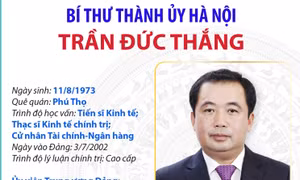 Ủy viên Bộ Chính trị, Bí thư Thành ủy Hà Nội Trần Đức Thắng