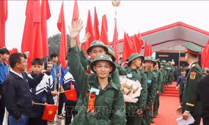 Sự kiện nổi bật trong tuần từ 10 - 15/2