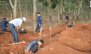 Phát hiện và cất bốc 35 hài cốt liệt sỹ tại xã Minh Đức ở Bình Phước