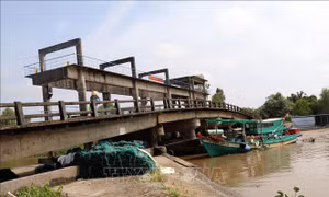 Phòng, chống hạn mặn mùa khô ở Kiên Giang