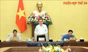 Khai mạc Phiên họp thứ 34 Ủy ban Thường vụ Quốc hội