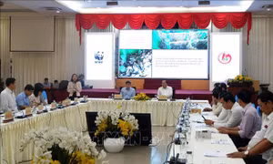 Hiệu quả bước đầu từ thí điểm phân loại rác tại nguồn ở khu vực nông thôn 