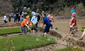 Tạo nguồn cán bộ trẻ năng lực, uy tín ở vùng cao Trạm Tấu