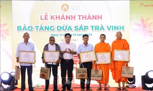 Bảo tàng dừa sáp Trà Vinh: Điểm tham quan ấn tượng thu hút du khách