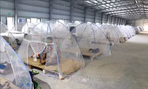 Tổng hợp COVID-19 ngày 5/8: Tăng cường xét nghiệm sàng lọc; giữ an toàn các vùng xanh