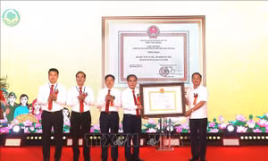 Gần 5.000 tỷ đồng xây dựng nông thôn mới