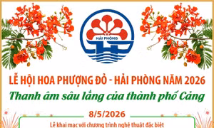 Lễ hội Hoa Phượng Đỏ - Hải Phòng năm 2026: Thanh âm sâu lắng của thành phố Cảng