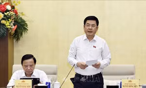 Bảo đảm mô hình quản lý hoạt động dầu khí thượng nguồn vận hành thông suốt, hiệu quả