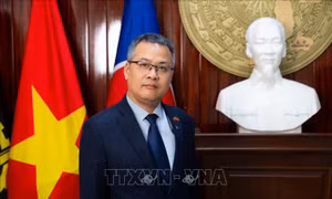 Tín hiệu ổn định chính trị, nâng tầm ngoại giao nghị viện Việt Nam