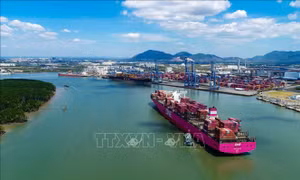 Cảng Tân Cảng - Cái Mép đón chuyến tàu đầu tiên của Liên minh Premier