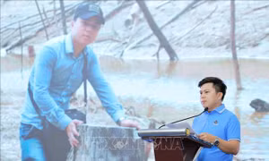 Viết nên vinh quang bằng tinh thần dấn thân, phụng sự