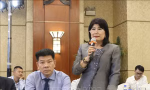 Kinh tế tư nhân: Kỳ vọng bứt phá và phát triển - Bài cuối: Những tiếng nói kỳ vọng