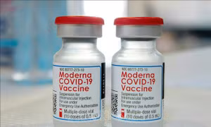 Canada phê duyệt vaccine cập nhật ngừa COVID-19 của Moderna 