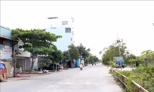 Gần 400 tên đường tại TP Hồ Chí Minh cần đổi, cập nhật