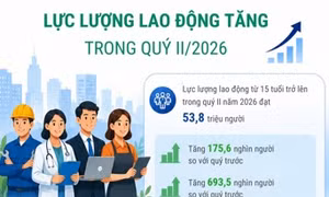 Lực lượng lao động tăng trong quý II/2026