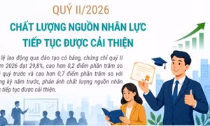 Quý II/2026: Chất lượng nguồn nhân lực tiếp tục được cải thiện